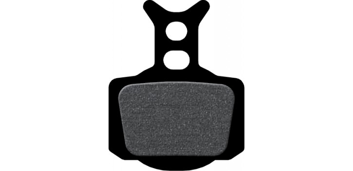 FORMULA R1 FORMULA R1